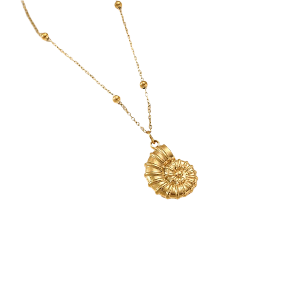 Collar De Concha
