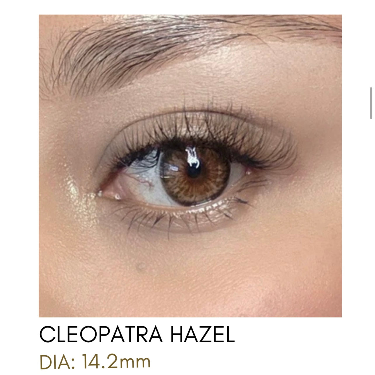 Lentes de Contacto Meetone Tono Cleopatra Hazel