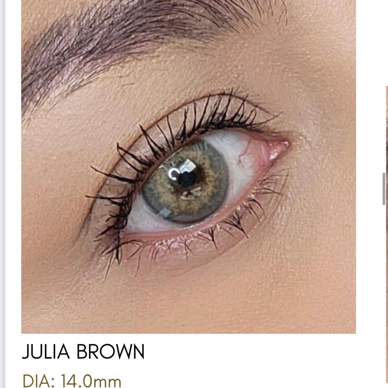 Lentes de Contacto Meetone Tono Julia Brown