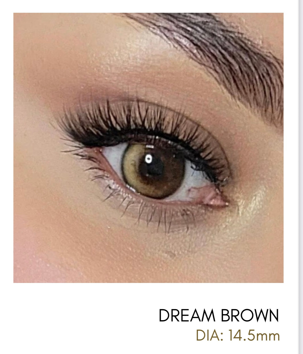 Lentes de Contacto Meetone Tono Dream Brown