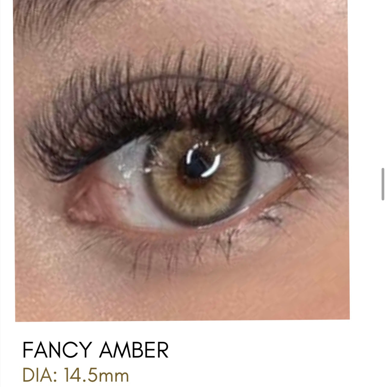 Lentes de Contacto Meetone Tono Fancy Amber