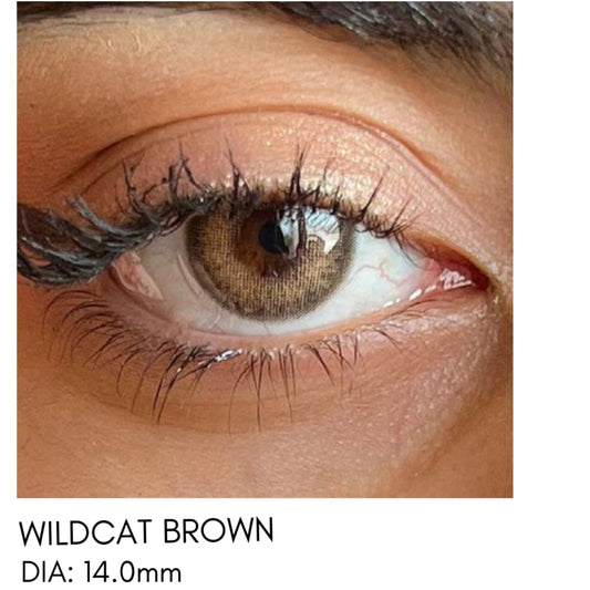 Lentes de Contacto Meetone Tono Wildcat Brown