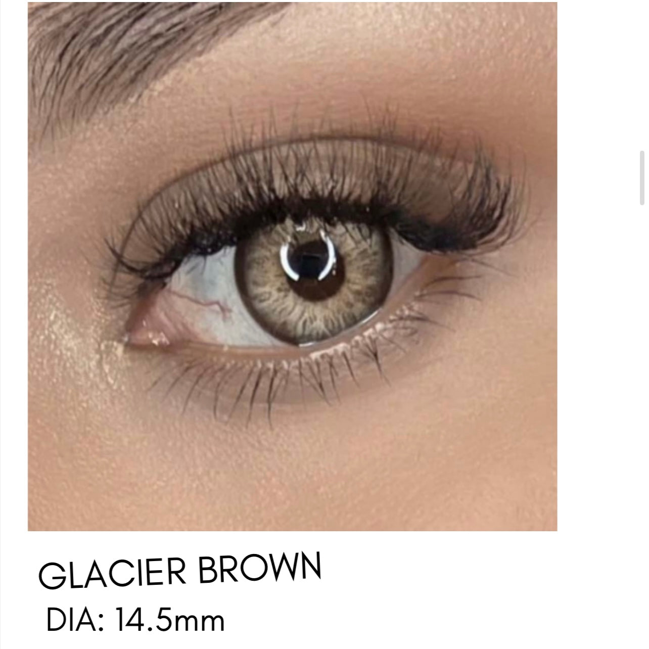 Lentes de Contacto Meetone Tono Glacier Brown