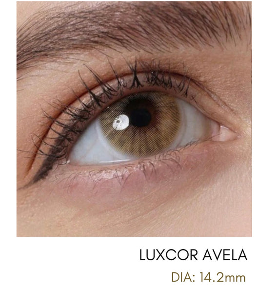 Lentes de Contacto Meetone Tono Luxcor Avela