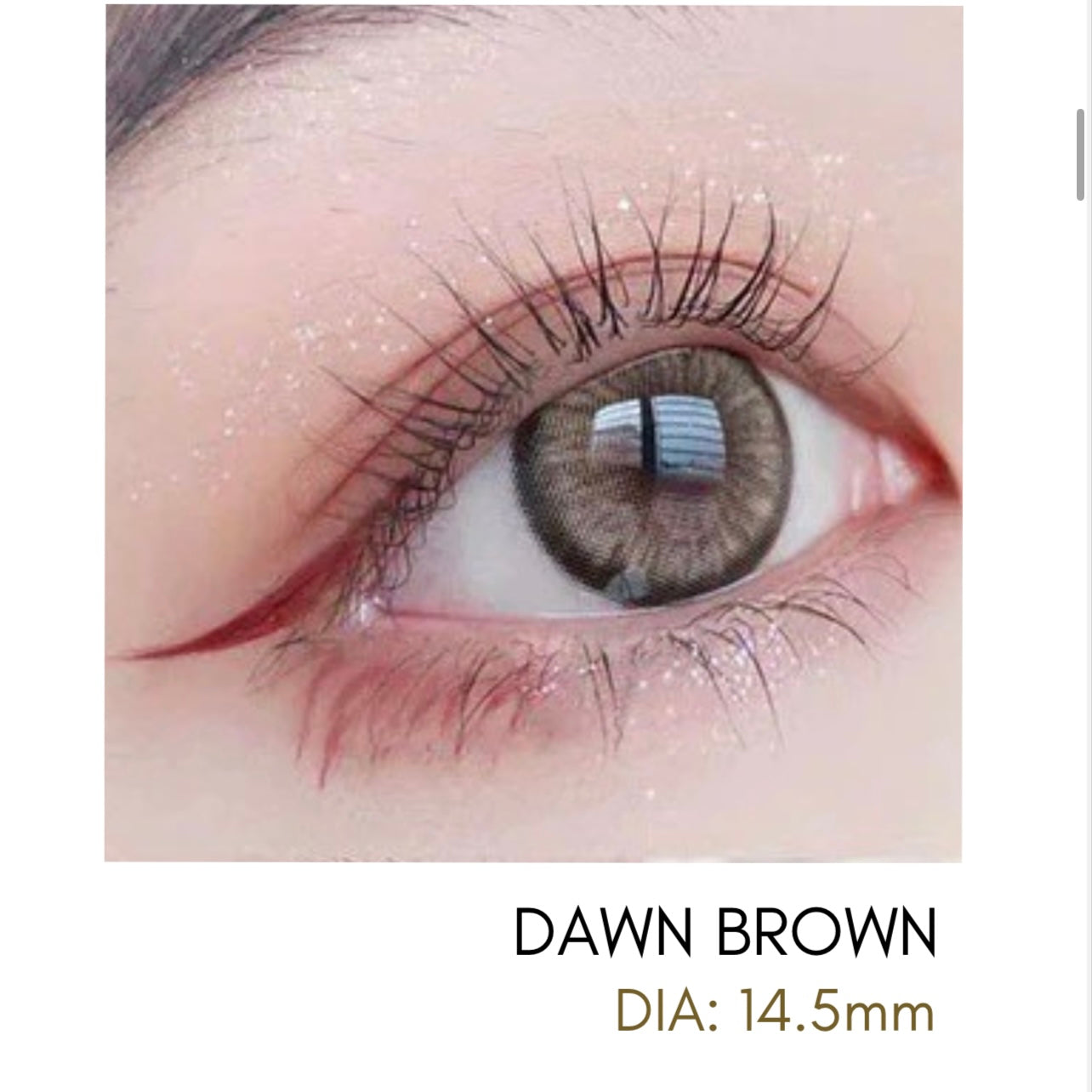 Lentes de Contacto Meetone Tono Dawn Brown