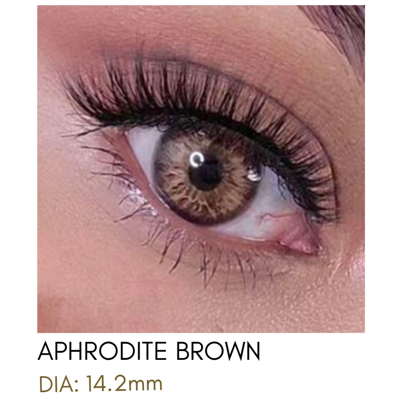 Lentes de Contacto Meetone Tono Aphrodite Brown
