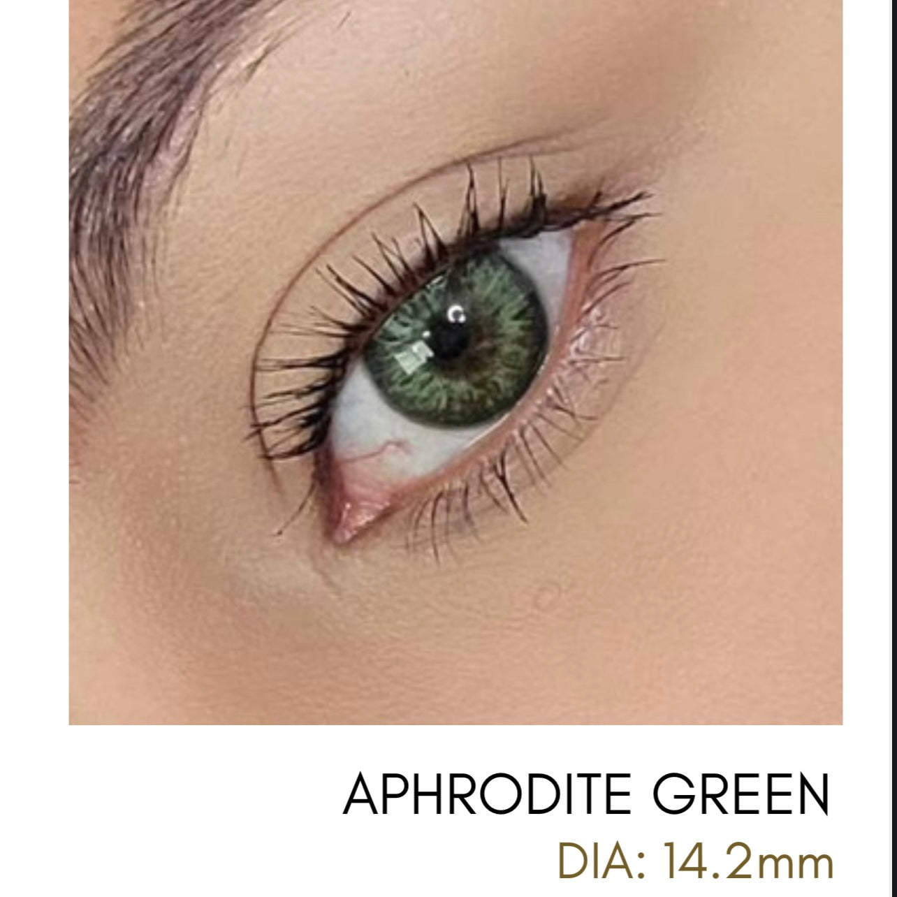 Lentes de Contacto Meetone Tono Aphrodite Green