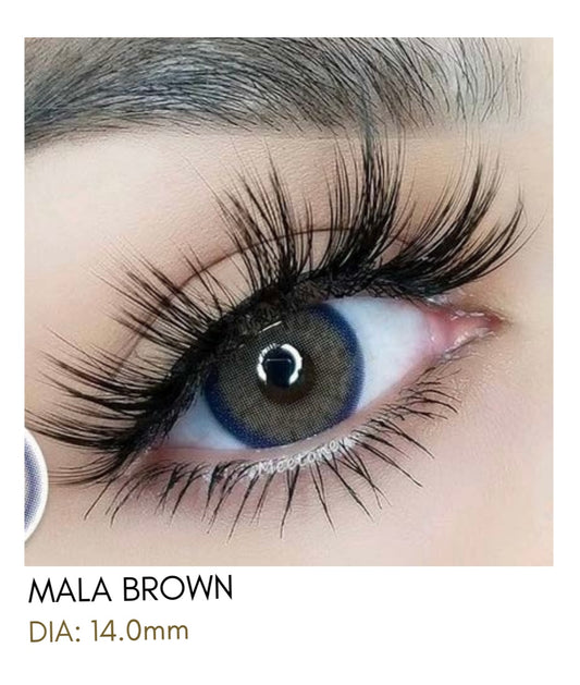 Lentes de Contacto Meetone Tono Mala Brown
