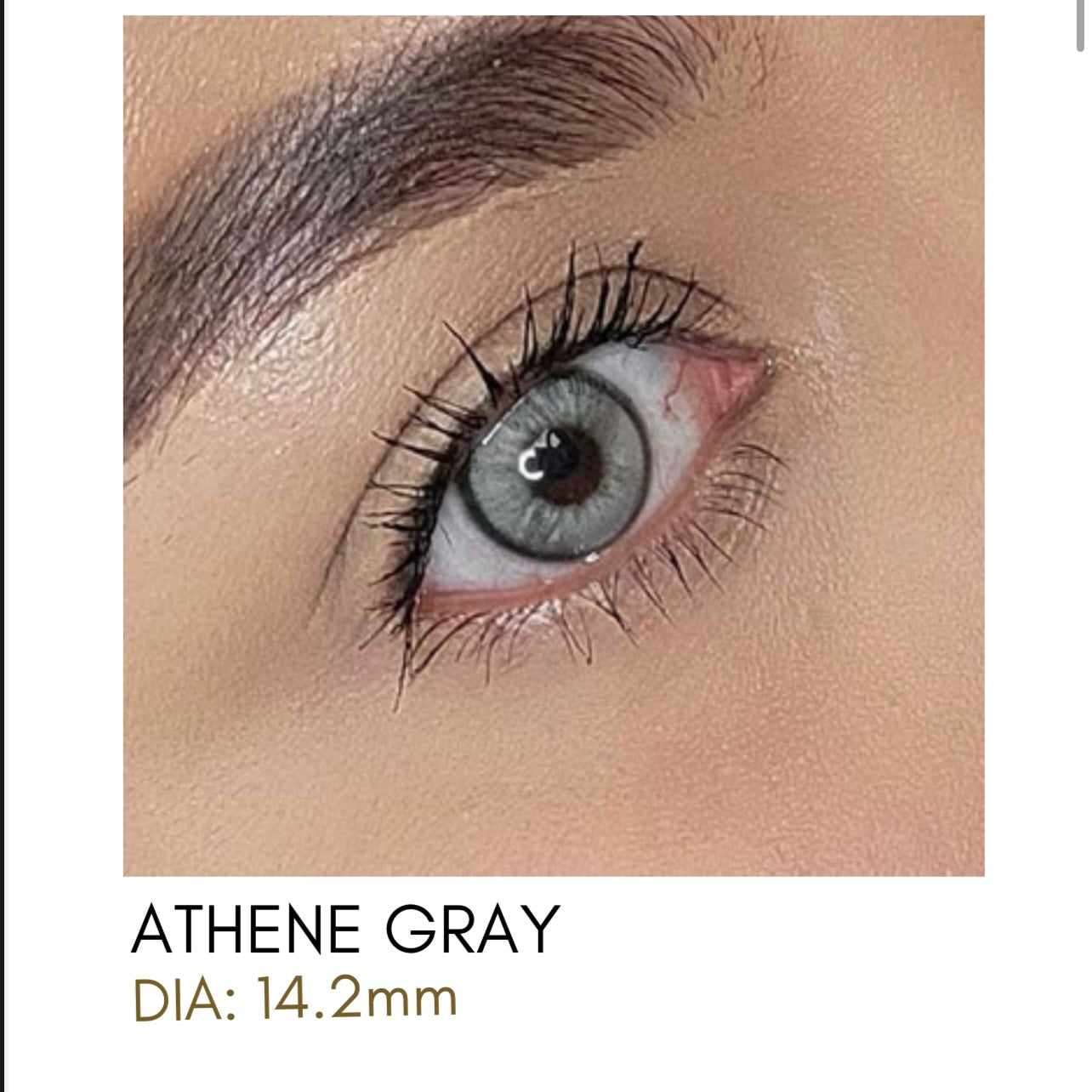 Lentes de Contacto Meetone Tono Athene Gray
