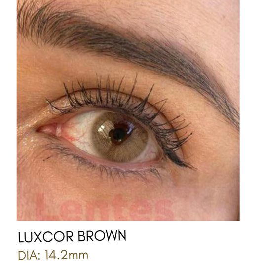 Lentes de Contacto Meetone Tono Luxcor Brown