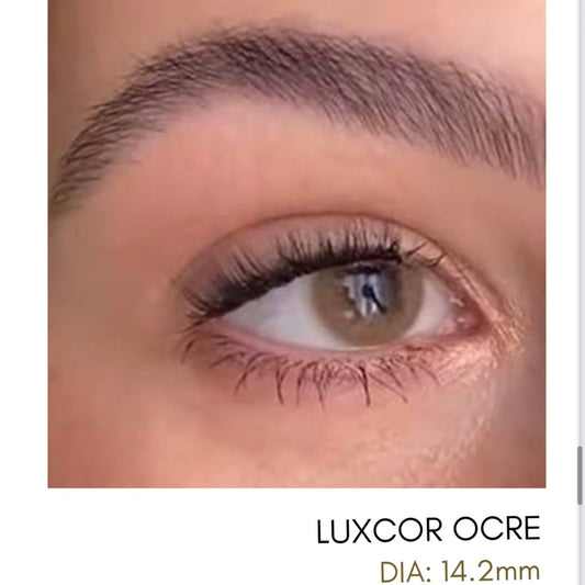 Lentes de Contacto Meetone Tono Luxcor Ocre