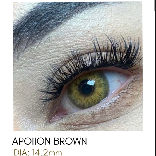 Lentes de Contacto Meetone Tono Apoiion Brown