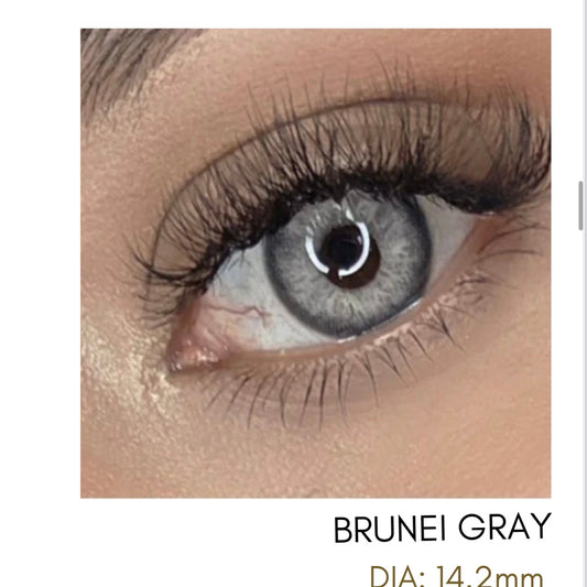 Lentes de Contacto Meetone Tono Brunei Gray