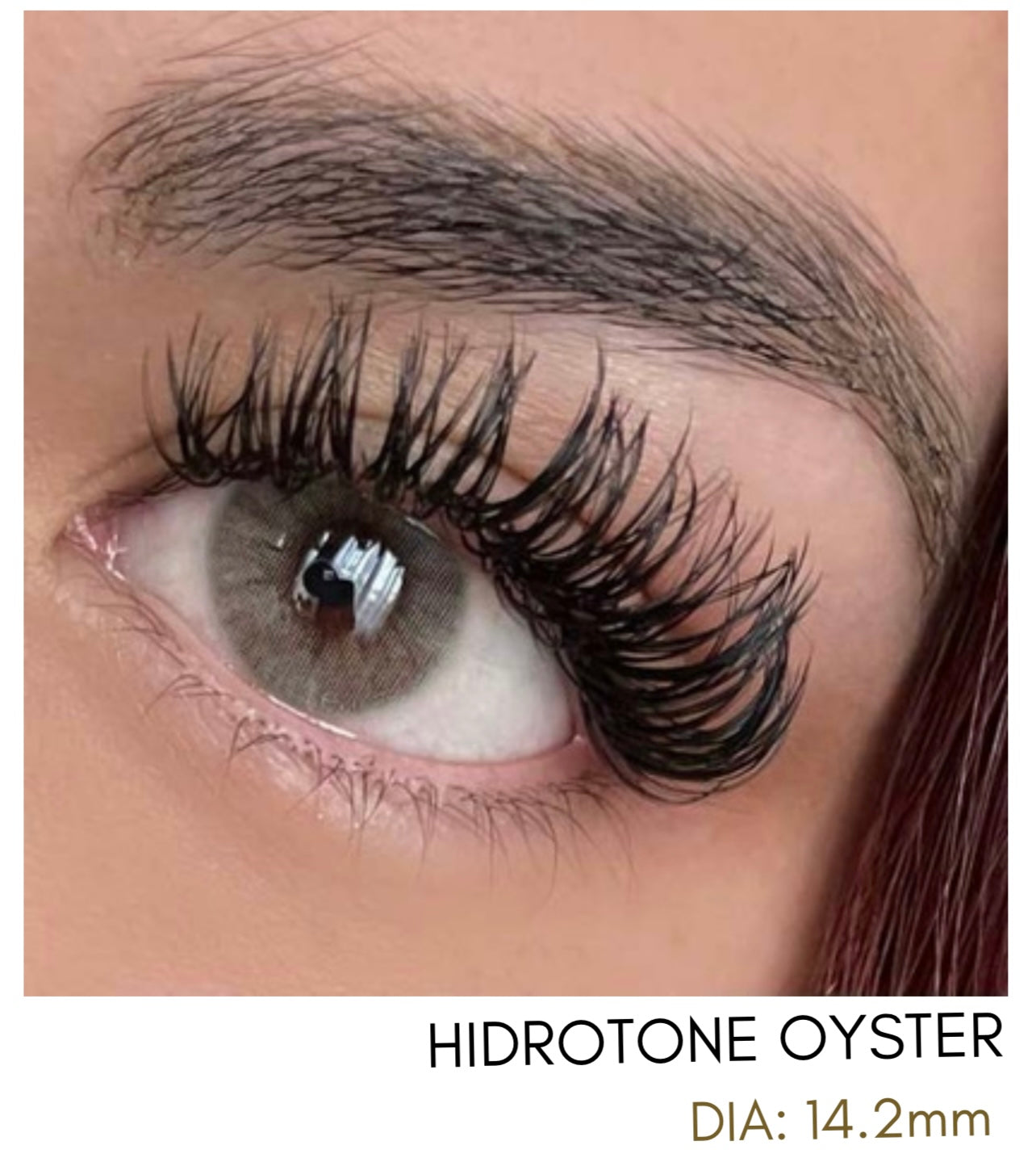 Lentes de Contacto Meetone Tono Hidratone Oyster