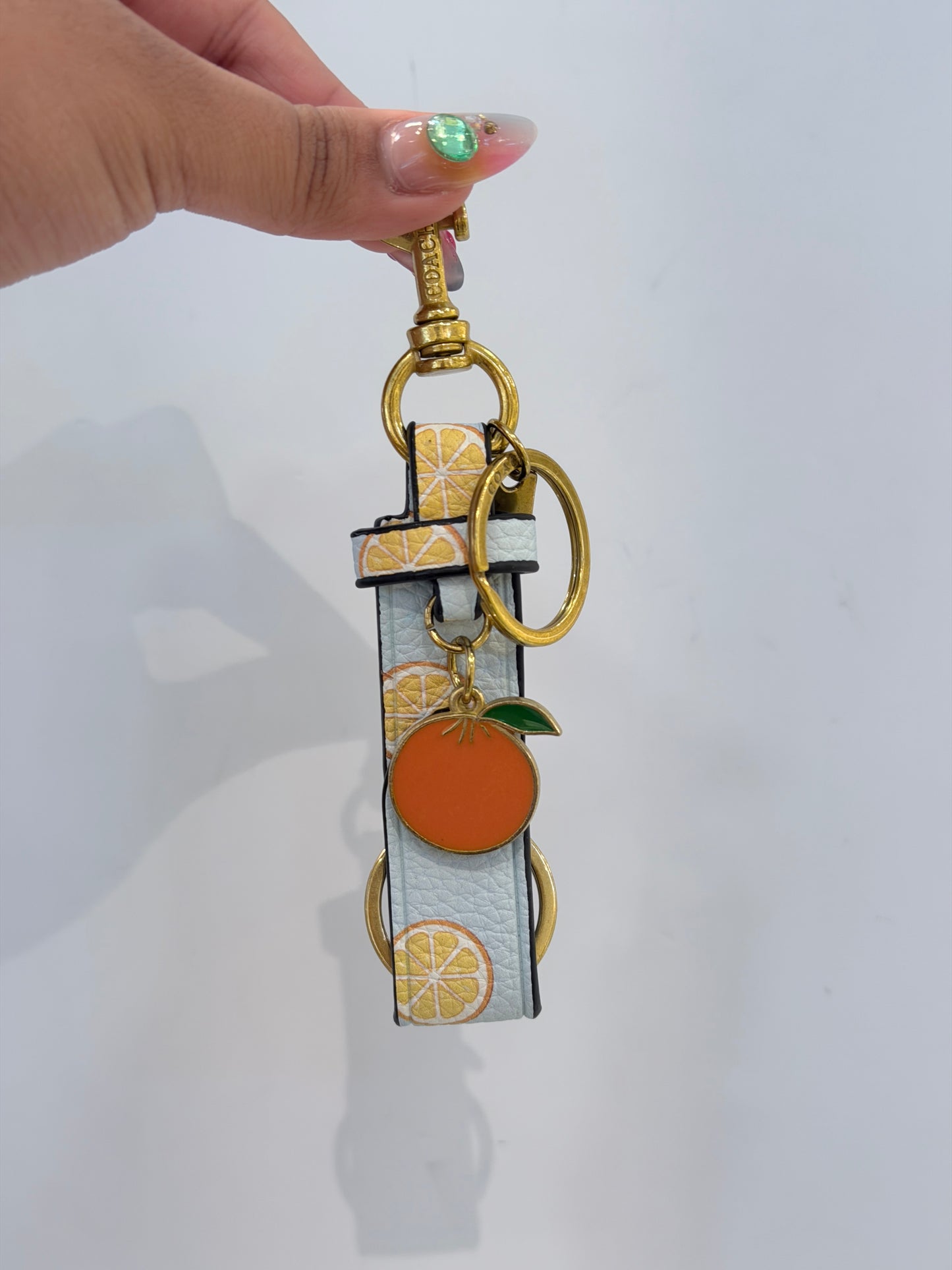 Llavero Coach Colgante Variado