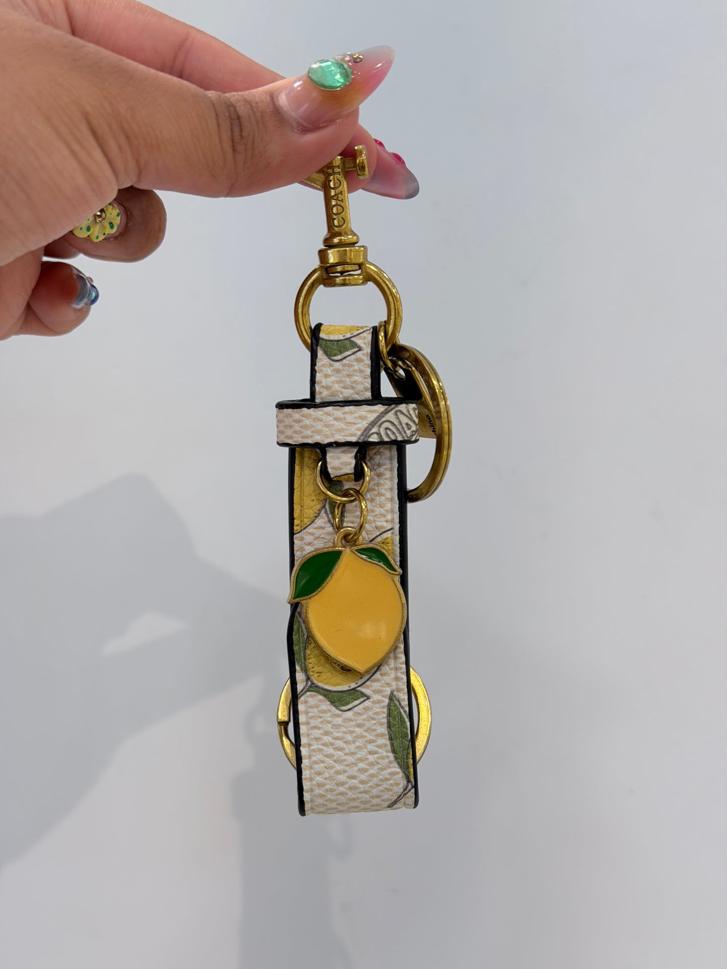 Llavero Coach Colgante Variado