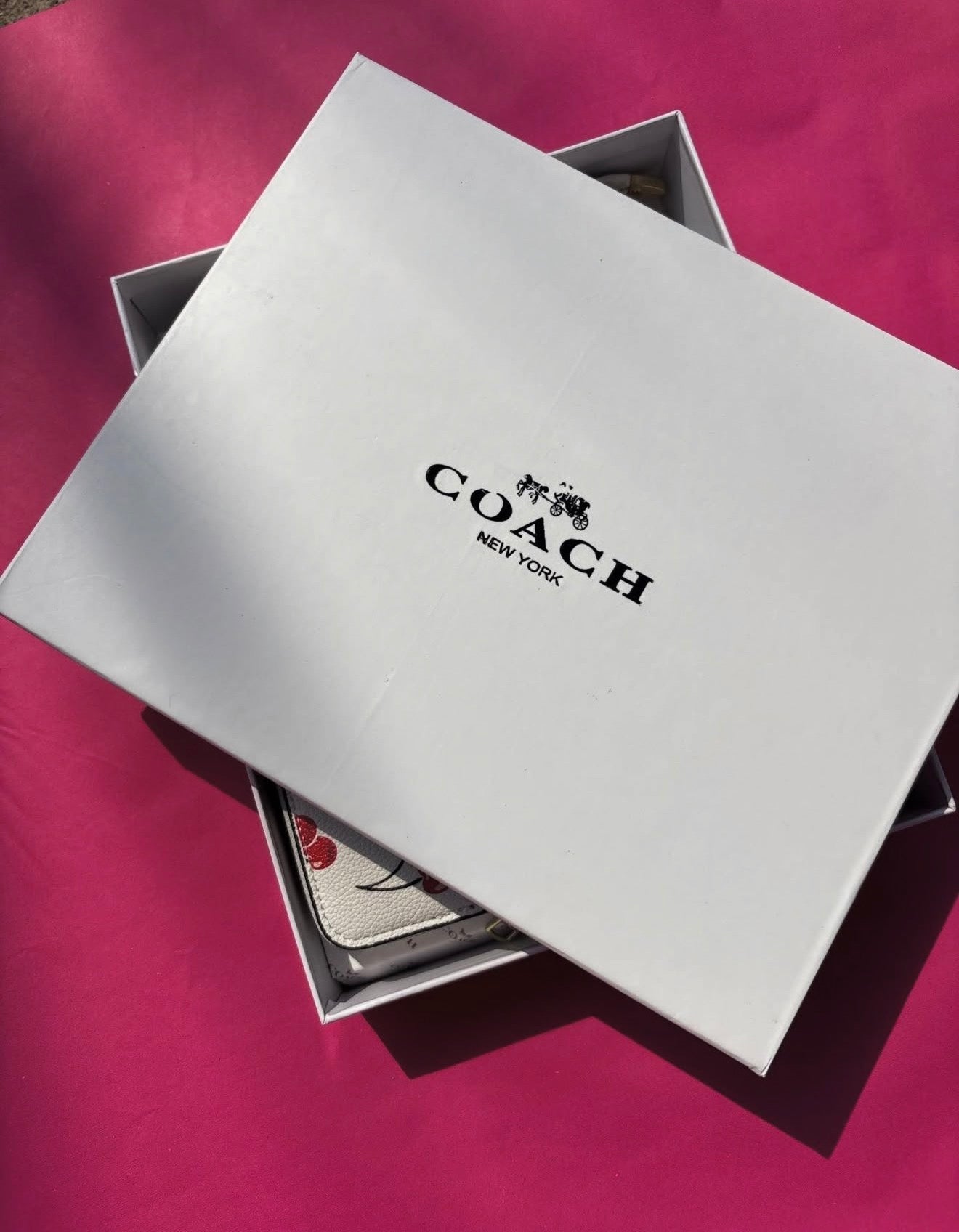 Set de Carteras Coach 3 piezas Cerezas