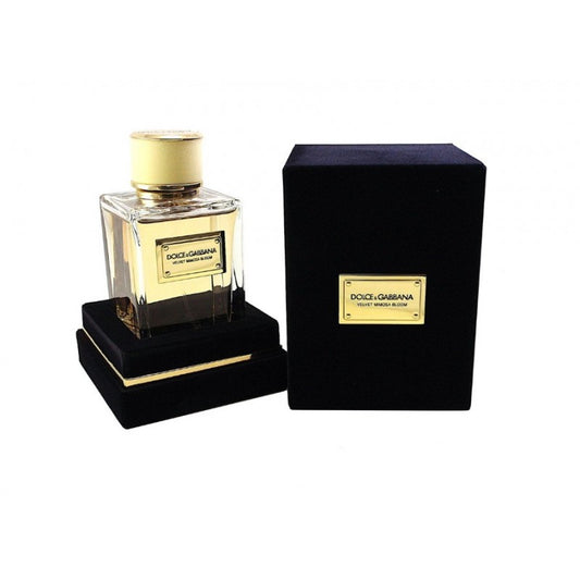 DOLCE & GABBANA VELVET MIMOSA BLOOM EDP 150ML (H)