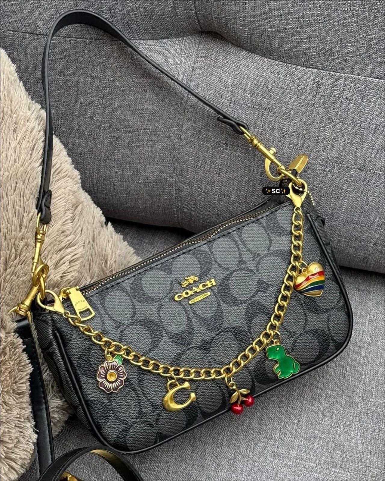Cartera Nolita Coach 19