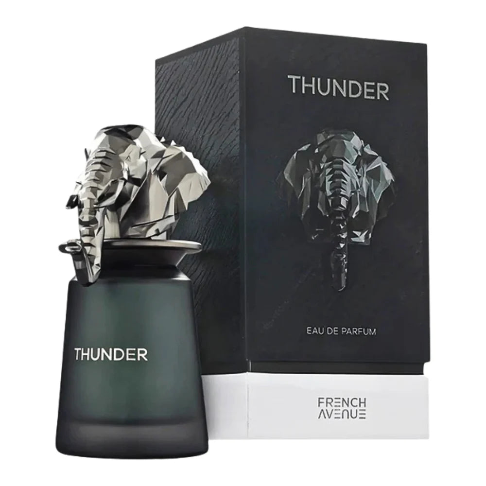 FRAGRANCE WORLD FRENCH AVENUE THUNDER EDP 100ML (H) (DUPE CHRISTIAN DIOR HOMME PARFUM)