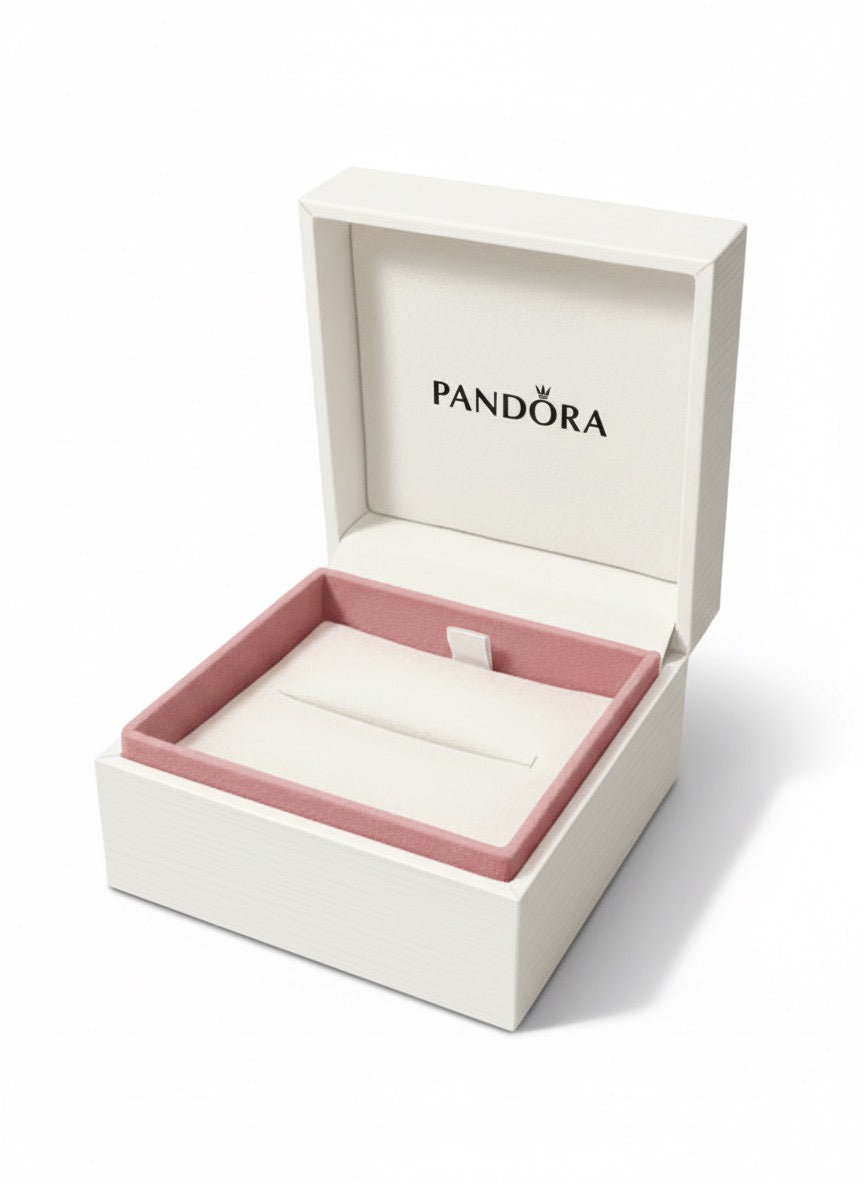 Caja de Regalo Pandora Blanca Grande