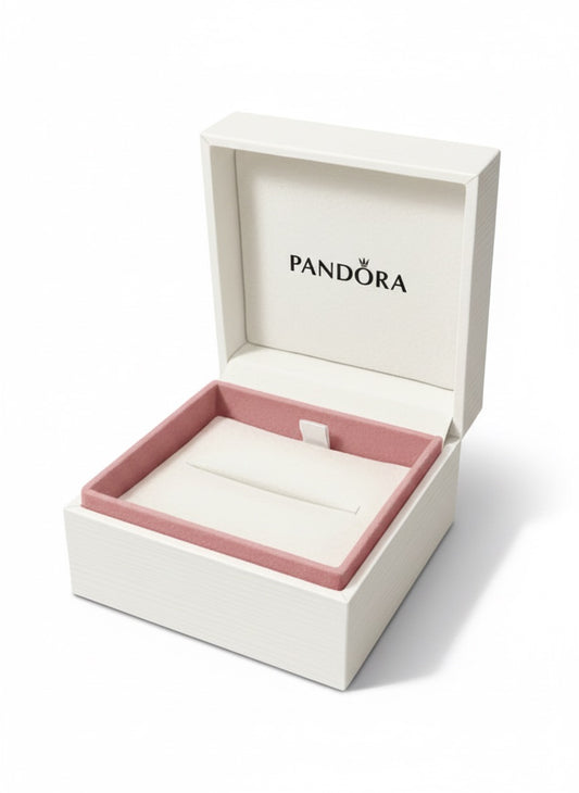 Caja de Regalo Pandora Blanca Grande