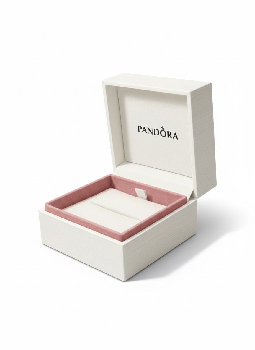 Caja de Regalo Pandora Blanca Grande
